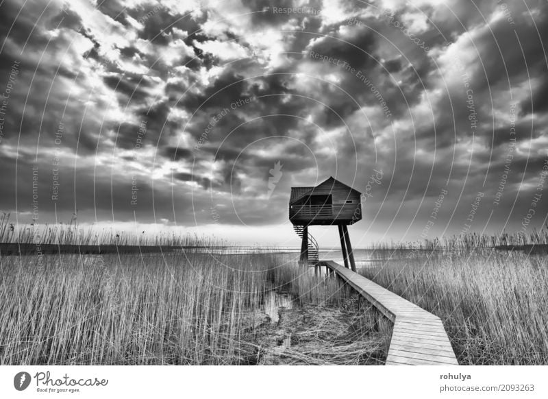 path to wooden observation tower, Dollard, Netherlands House (Residential Structure) Nature Landscape Sky Clouds Weather Coast North Sea Building Lanes & trails