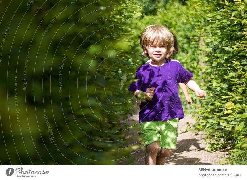 summer 2017 - Labyrinth Human being Child Toddler Boy (child) Friendship Infancy 1 - 3 years Environment Nature Summer Beautiful weather Hedge Lanes & trails