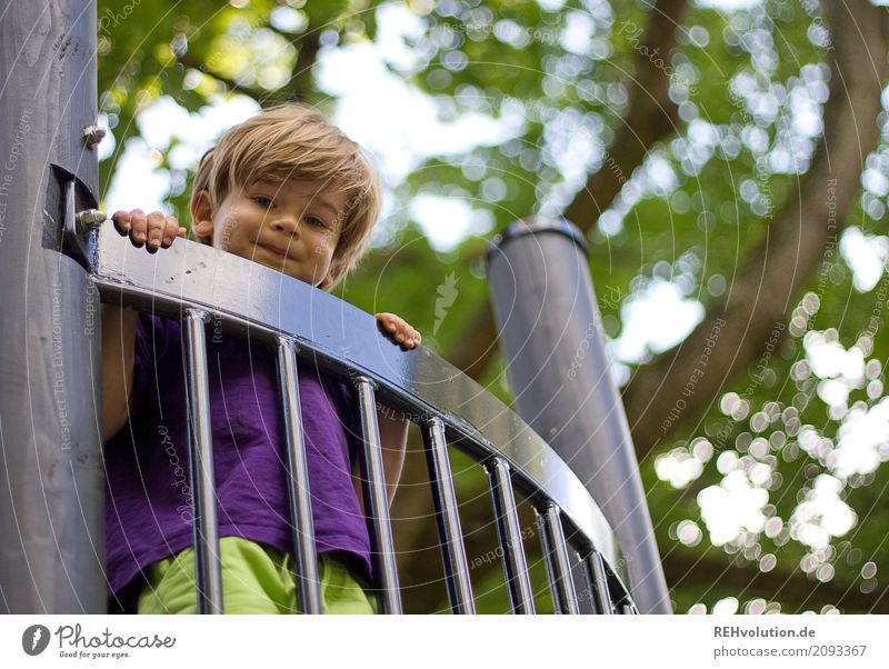 outlook Leisure and hobbies Human being Child Toddler Boy (child) 1 1 - 3 years Environment Nature Tree Smiling Playing Authentic Healthy Happy Tall Cute Above