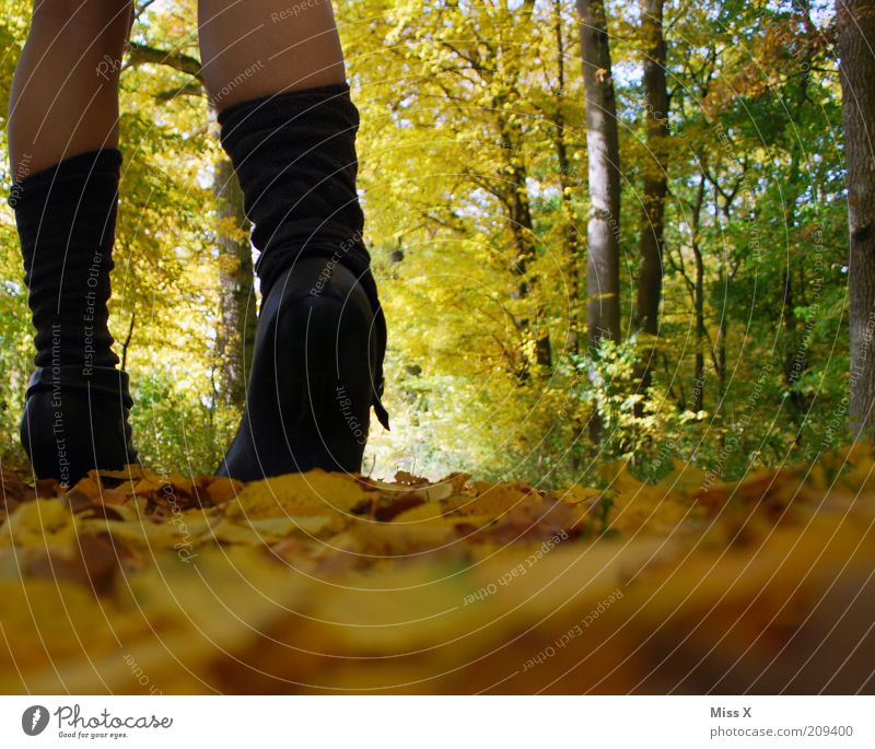 Hellooo autumn ! Vacation & Travel Trip Hiking Human being Young woman Youth (Young adults) Legs 1 Nature Autumn Climate Beautiful weather Tree Leaf Park Forest