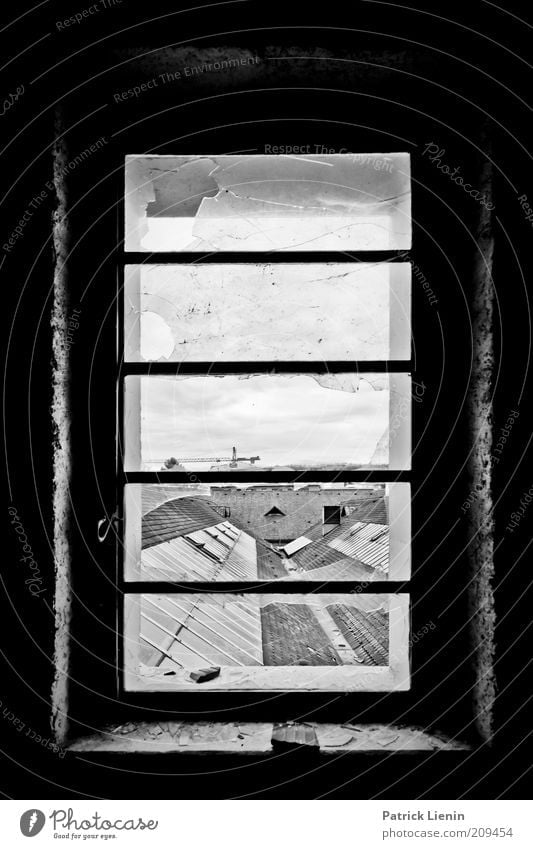 Window above the roofs Deserted Manmade structures Building Architecture Roof Old Looking Dirty Dark Broken Black & white photo Interior shot Shadow Contrast