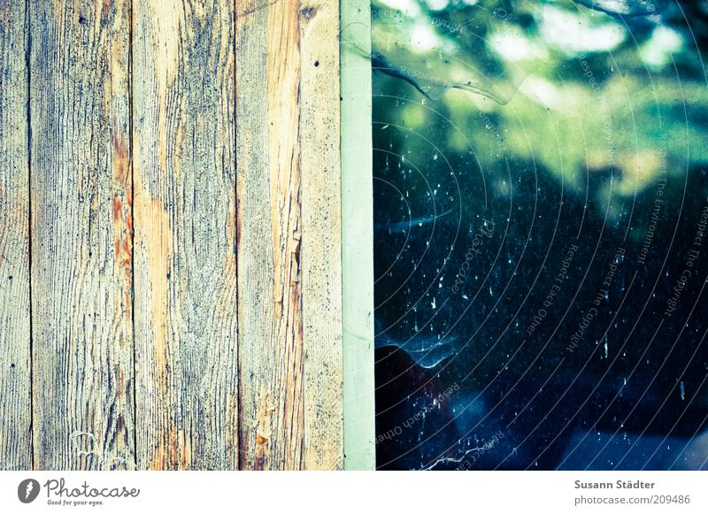 Spiderganger already longer there Window Cobwebby Spider's web Wood Wall panelling Hut Window frame Flake off Colorless Wood grain Multicoloured