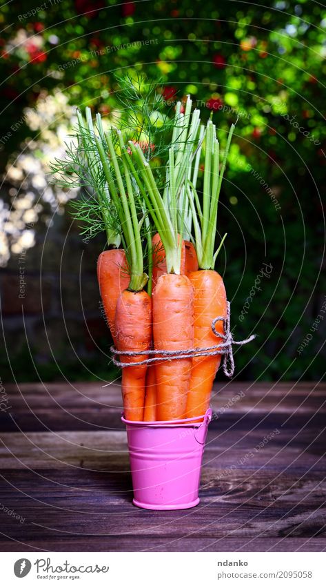 Fresh carrots Vegetable Nutrition Eating Vegetarian diet Diet Garden Table Nature Plant Leaf Wood Natural Green Pink ripe Useful agriculture iron Organic orange