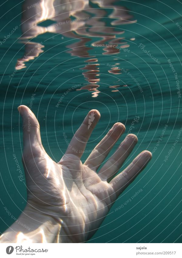within reach Human being Hand Elements Water Ocean Green Grasp Near Life line Fingers Breach Colour photo Underwater photo Neutral Background Day Reflection