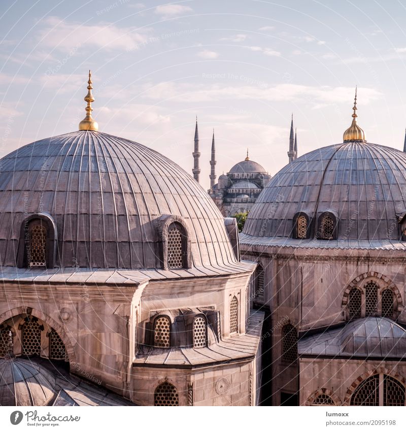 major Istanbul Turkey Europe Town Manmade structures Building Architecture Facade Domed roof Mosque Hagia Sophia Blue Mosque Tourist Attraction Landmark