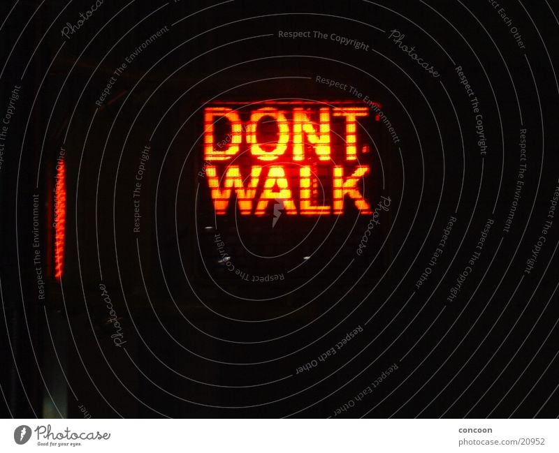 Don't walk! Traffic light Red New York City Leisure and hobbies Pedestrian crossing USA