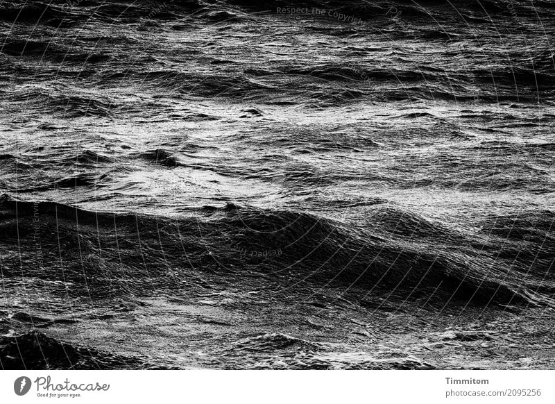 North Sea | The Dark Side Vacation & Travel Environment Nature Elements Water Denmark Esthetic Gray Black White Emotions Waves Black & white photo Exterior shot