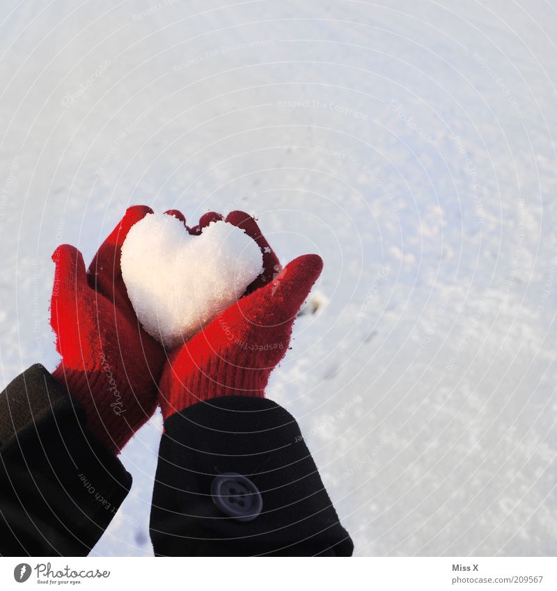Cold heart Young woman Youth (Young adults) Hand 1 Human being Winter Ice Frost Snow Kitsch Emotions Moody Love Romance Pain Hope Heart Heart-shaped