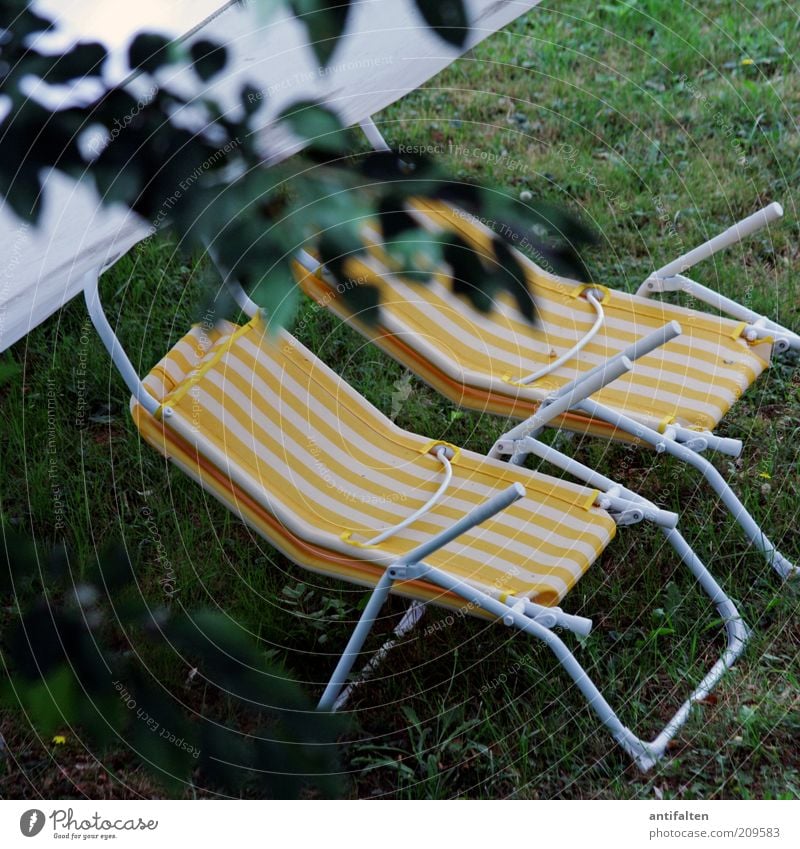 Place in the green Tourism Summer Summer vacation Nature Plant Grass Garden Garden chair Deckchair Relaxation Yellow Green Leisure and hobbies Vacation & Travel
