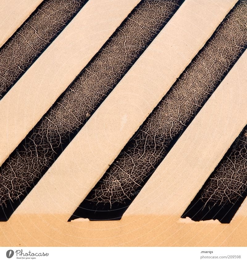 zebra Style Design Line Stripe Exceptional Simple Uniqueness Broken Decline Flake off Subdued colour Detail Abstract Structures and shapes Striped