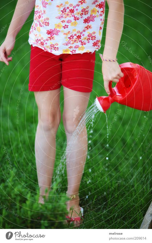 Summer 2010 Girl Human being Flip-flops Watering can Movement To enjoy Happy Green Red Contentment Shorts Summery Jet of water Drops of water Gardening