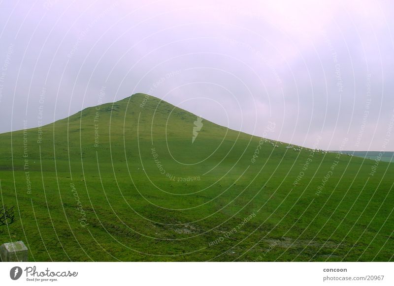 Monte Scherbelino England Great Britain Green Hill Grass Meadow Mountain teesside Structures and shapes Lawn