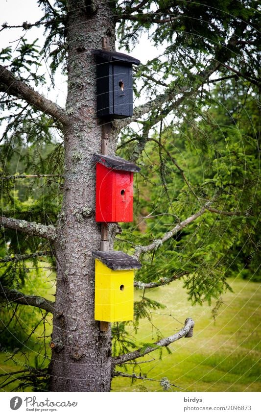 patriotic birds Flat (apartment) Tree Meadow Germany Nesting box Sign Exceptional Funny Positive Yellow Red Black Colour Society Identity Creativity Nature