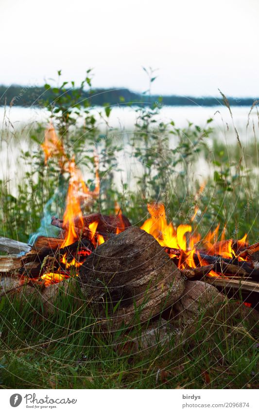 quality of life Calm Adventure Freedom Camping Summer vacation Nature Plant Fire Lakeside Esthetic Positive Warmth Wild Joie de vivre (Vitality)