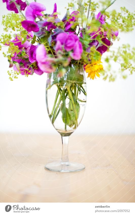 Flowers again Tree Blossoming Garden Deserted Nature Plant Summer Copy Space Depth of field Twig Vase Flower vase Glass Fabaceae Alchemilla vulgaris