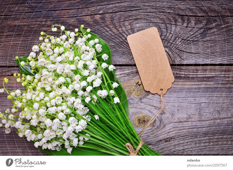 bouquet of white flowering lilies of the valley Design Beautiful Garden Decoration Valentine's Day Wedding Birthday Nature Plant Flower Leaf Blossom Bouquet