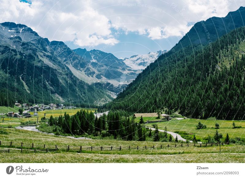 debts Environment Nature Landscape Summer Beautiful weather Meadow Forest Alps Mountain Glacier Village Natural Blue Green Relaxation Colour Leisure and hobbies