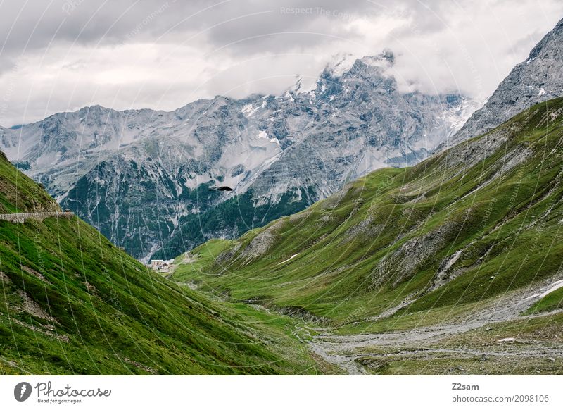 Stelvio yoke Environment Nature Landscape Sky Clouds Bad weather Alps Mountain Peak Glacier Street Overpass Gigantic Tall Natural Green Loneliness Horizon Idyll