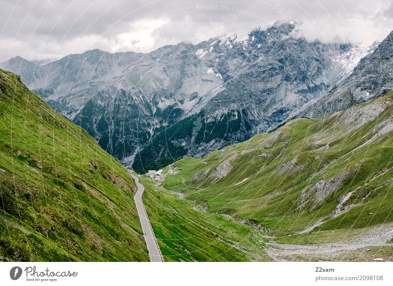 Stelvio Cycling Nature Landscape Summer Bad weather Alps Mountain Peak Glacier Street Overpass Threat Gigantic Tall Natural Green Loneliness Idyll