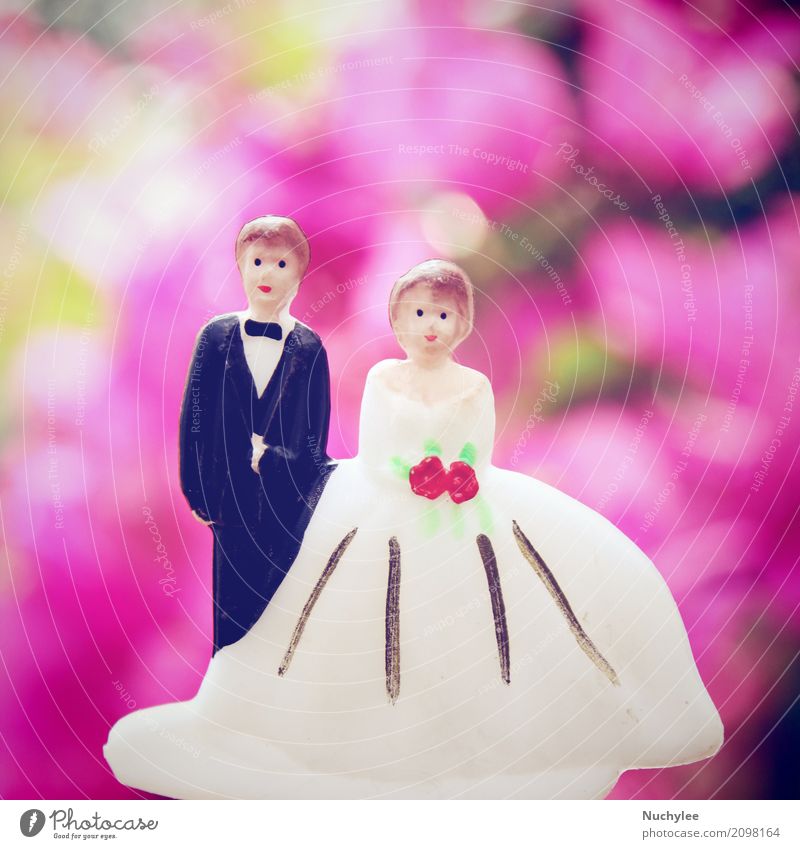 wedding couple doll Garden Decoration Valentine's Day Wedding Woman Adults Man Family & Relations Couple Flower Dress Toys Doll Bouquet Ornament Love Happiness