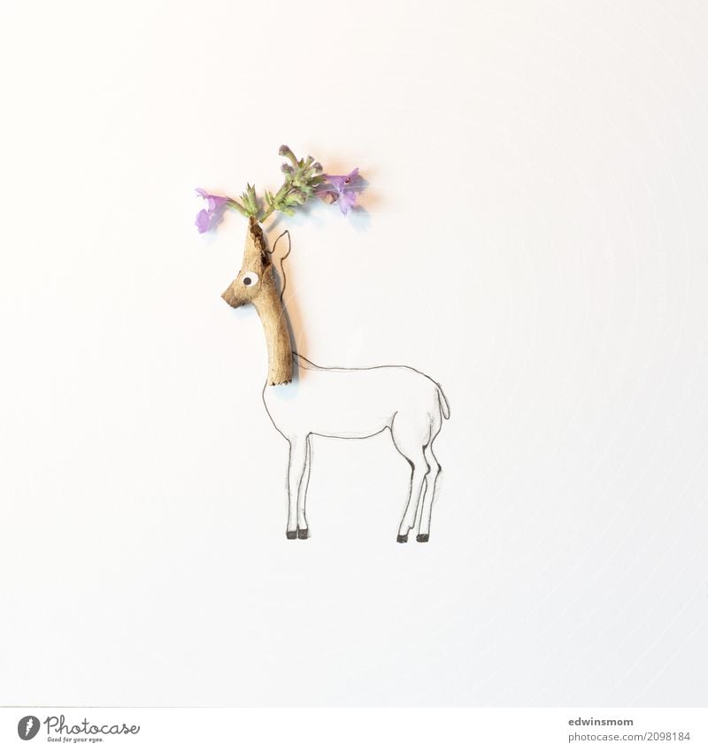 flower deer Leisure and hobbies Handicraft Painting (action, artwork) Plant Summer Blossom Animal Wild animal Paper Decoration Wood Looking Stand Wait Happiness