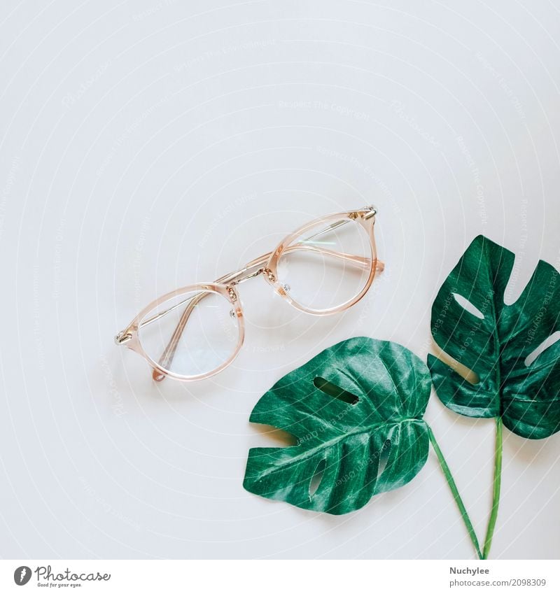 Eyeglasses and green palm leaves Lifestyle Style Design Summer Business Art Nature Plant Spring Leaf Fashion Simple Fresh Bright Hip & trendy Modern Above Gray