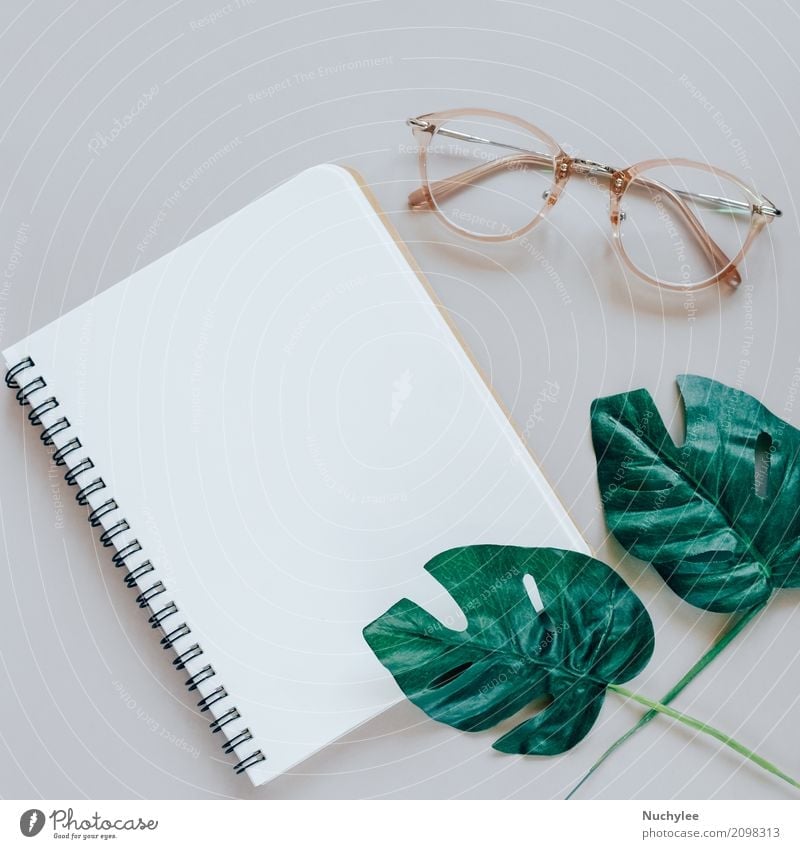 Flat lay of minimal workspace desk Lifestyle Style Design Business Art Nature Plant Spring Leaf Fashion Eyeglasses Paper Simple Bright Modern Above Gray Green