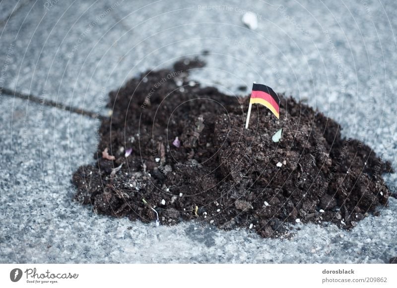 heap of earth Gold Red Black Earth Flag Small Germany German Flag Colour photo Close-up Day Shallow depth of field Central perspective Patriotism Real estate