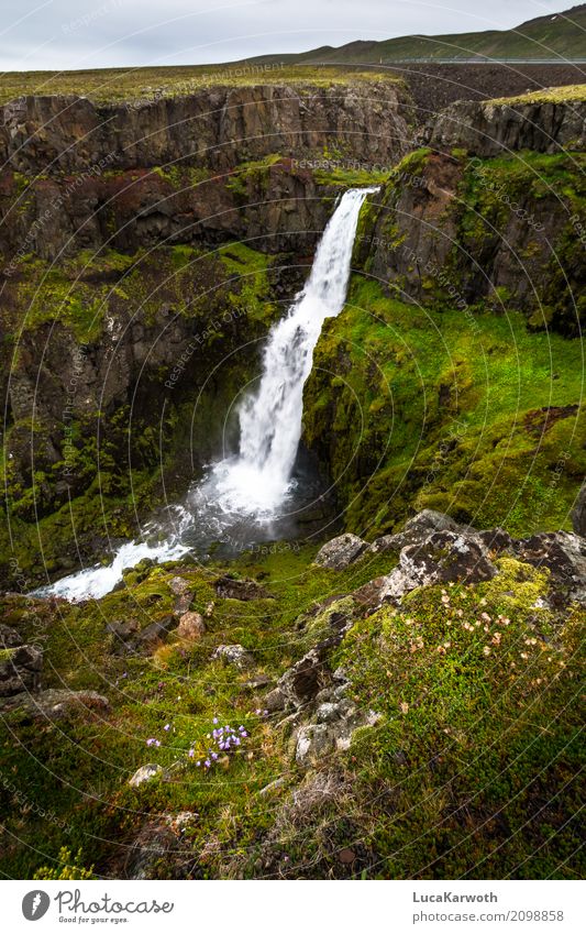 Waterfall Iceland Environment Nature Landscape Plant Weather Flower Grass Bushes Moss Rock Mountain Bay Deserted Tourist Attraction Street Moody