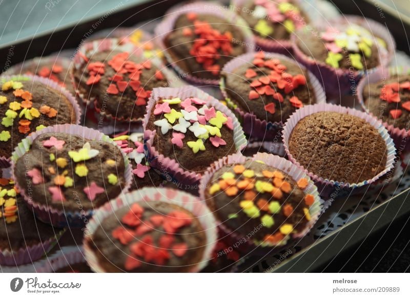 ready for the party Food Dough Baked goods Cake Candy Chocolate Sweet Brown Muffin Granules Chocolate brown Food photograph Rich in calories Calorie