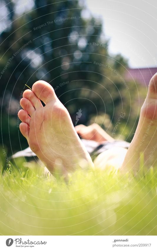 With peace and comfort Human being Man Adults Feet Sole of the foot 1 Environment Plant Earth Grass Meadow Garden Lie Green Calm Cozy Relaxation Dream
