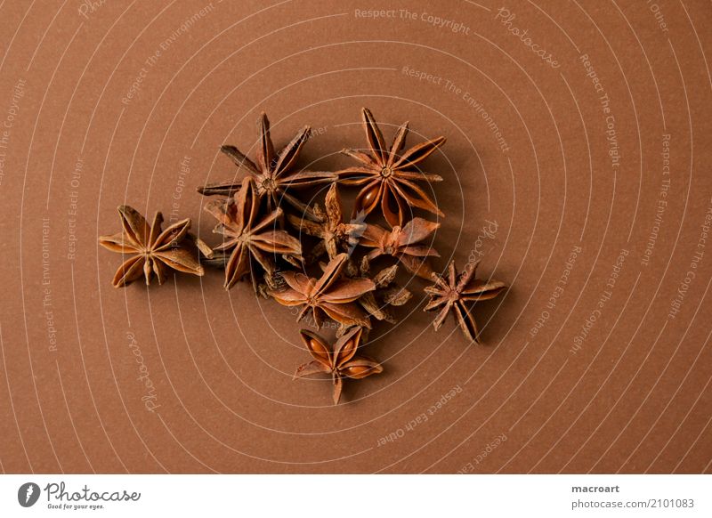 Star anise on brown background Star aniseed Star (Symbol) Brown stars Spicy Herbs and spices Dried Fruit Christmas & Advent Christmas spice Dish Eating