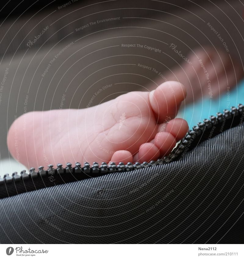 early gymnastics Life Feet Baby Toes Colour photo Close-up Detail Macro (Extreme close-up) Children's foot Barefoot Calm Sleep Relaxation Sole of the foot