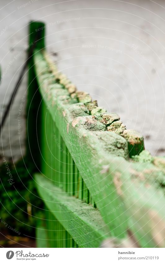 fancy fence Fence Stone Wood Gray Green Testing & Control Safety Wooden fence Fold Barn Weathered Rural Protect Close Colour photo Exterior shot Deserted