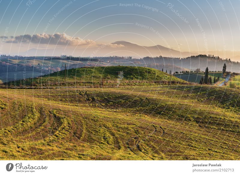 Winding paths with cypress trees between the green fields. Beautiful Vacation & Travel Summer Environment Nature Landscape Plant Sky Clouds Horizon Tree Grass