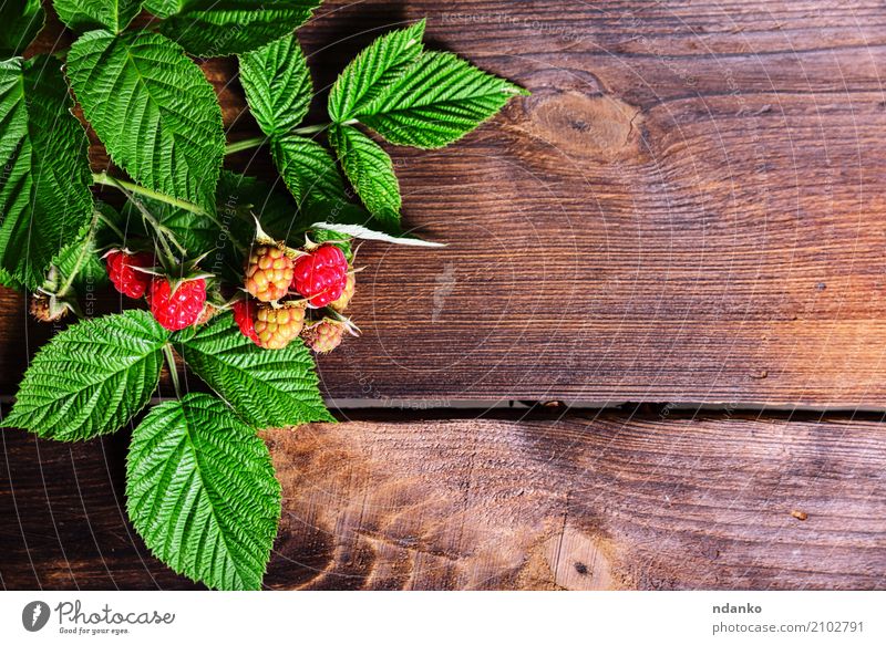 branch of raspberry Fruit Dessert Vegetarian diet Diet Summer Garden Table Nature Wood Fresh Delicious Natural Brown Yellow Green Red ripe Berries Useful sweet