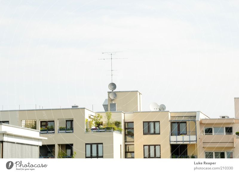 The roofs of Munich Sky Summer Plant Populated Building Architecture Terrace Roof Stone Blue White Colour photo Exterior shot Day Balcony plant Antenna