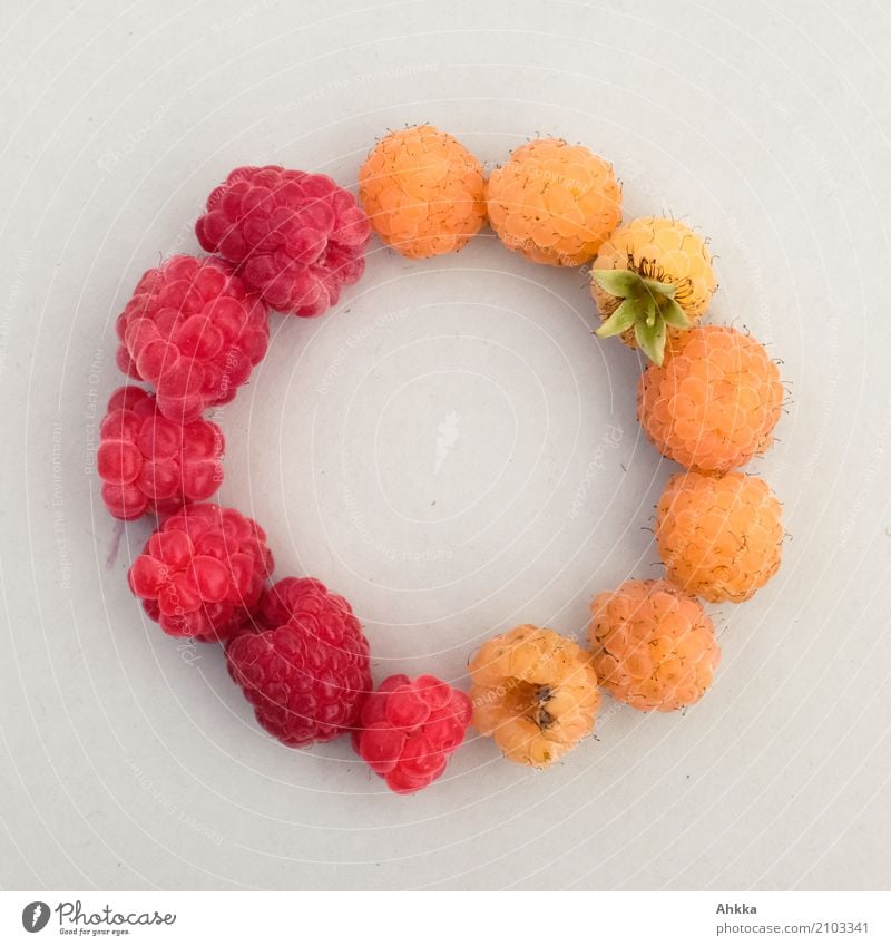 summer symbol Fruit Raspberry Organic produce Vegetarian diet Slow food Finger food Summer Circular Chain Round Yellow Red Trust Safety Safety (feeling of)
