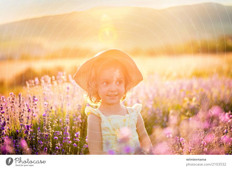 Golden light Child Girl Sister 1 Human being 3 - 8 years Infancy Nature Landscape Earth Sun Sunrise Sunset Summer Field Dress Hat Playing Free Happiness Natural
