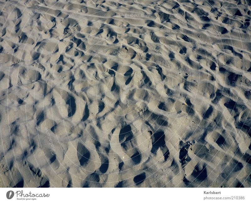 Tracks. Lifestyle Joy Vacation & Travel Summer Summer vacation Beach Island Nature Sand Coast Lakeside Desert Deserted Footprint Line Uniqueness Movement