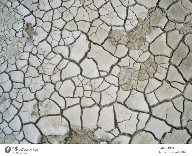 thirsty Crack & Rip & Tear Earth Dried Shriveled Dry Thirst Floor covering Ground Ibiza Groundwater Lacking Torn Vessel Life Loam Drought Old Death Thirsty