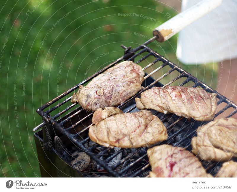 medium Food Meat Steak grilled meat Nutrition Masculine 1 Human being Barbecue (apparatus) Charcoal (cooking) Grill Delicious Juicy Green Barbecue (event)