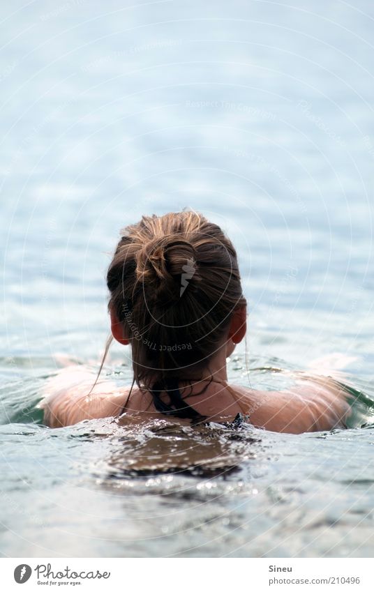 Woman swims Swimming & Bathing Vacation & Travel Summer vacation Ocean Aquatics Adults Head Hair and hairstyles Back Shoulder 1 Human being Water