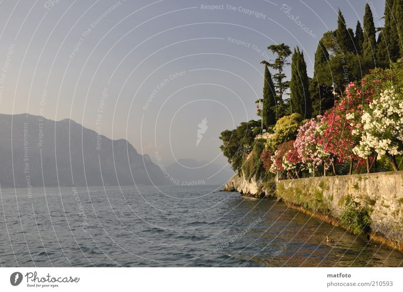 Summer at Lake Garda ! - a Royalty Free Stock Photo from Photocase
