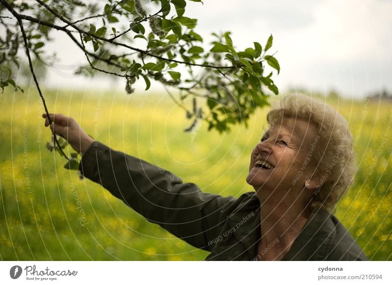 zest for life Lifestyle Well-being Contentment Human being Female senior Woman Senior citizen 45 - 60 years Adults Nature Meadow Uniqueness Experience Freedom
