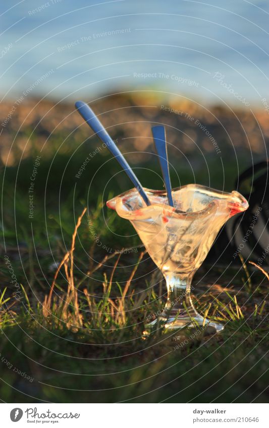 like ice in the sunshine Ice cream Picnic Glass Spoon Nature Landscape Water Summer Beautiful weather Grass Blue Brown Yellow Green Colour photo Multicoloured