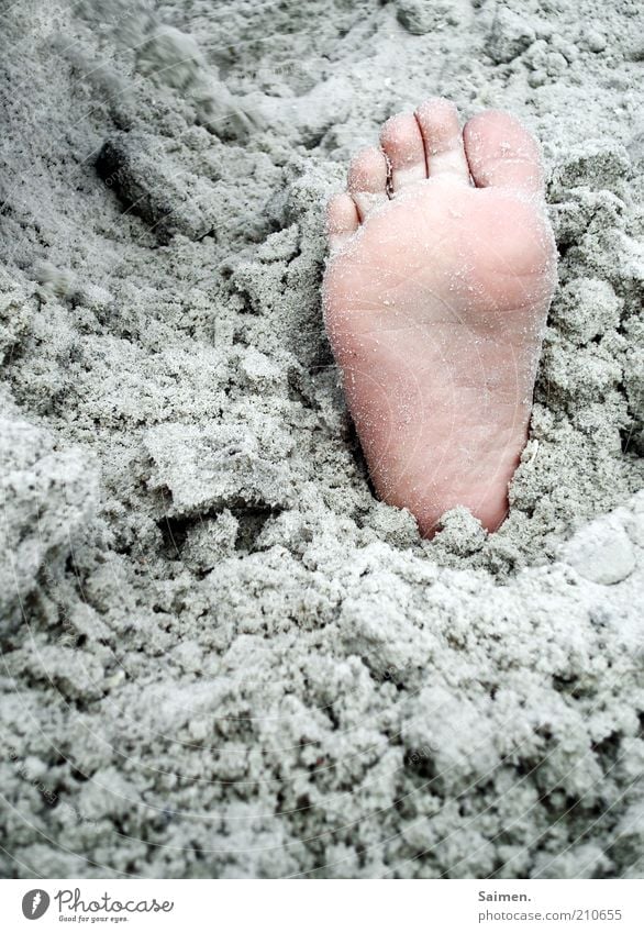buried Child Feet Sand Beach Toes Sole of the foot Colour photo Exterior shot Close-up Detail Day Children's foot Bury Titillation Barefoot