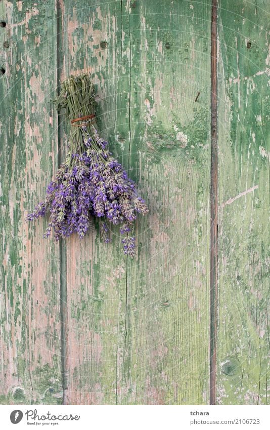 Lavender Herbs and spices Design Decoration Nature Plant Flower Leaf Blossom Bouquet Wood Old Fresh Natural Brown Green door Consistency Antique wall vintage