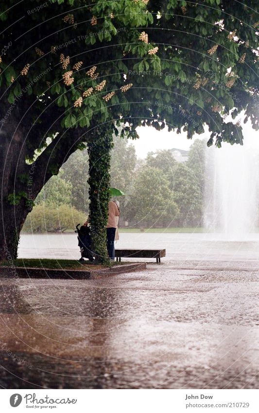 If it were summer now Leisure and hobbies 1 Human being Bad weather Rain Tree Bushes Park Umbrella Wet Protection Sadness Loneliness Damp Fountain