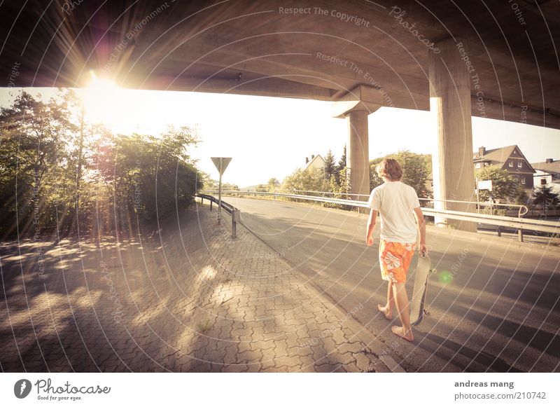This is where I live | No. 008 Style Skateboarding Young man Youth (Young adults) Sun Sunlight Summer Beautiful weather Warmth Bridge Street Crash barrier